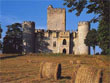 Visitez le château féodal de Roquetaillade