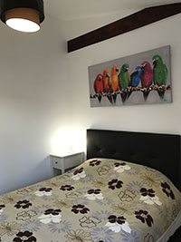 Parrots bedroom